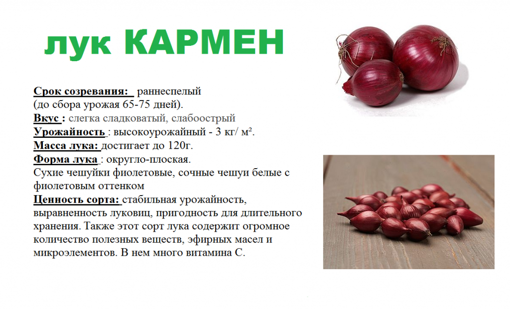 КАРМЕН.png КАРМЕН.png