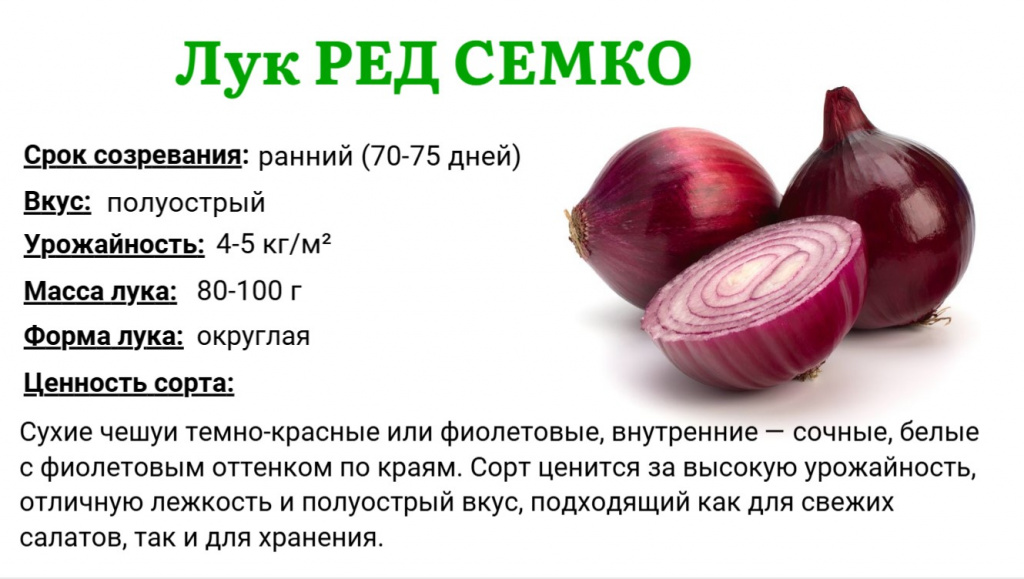 ред семко.jpg ред семко.jpg