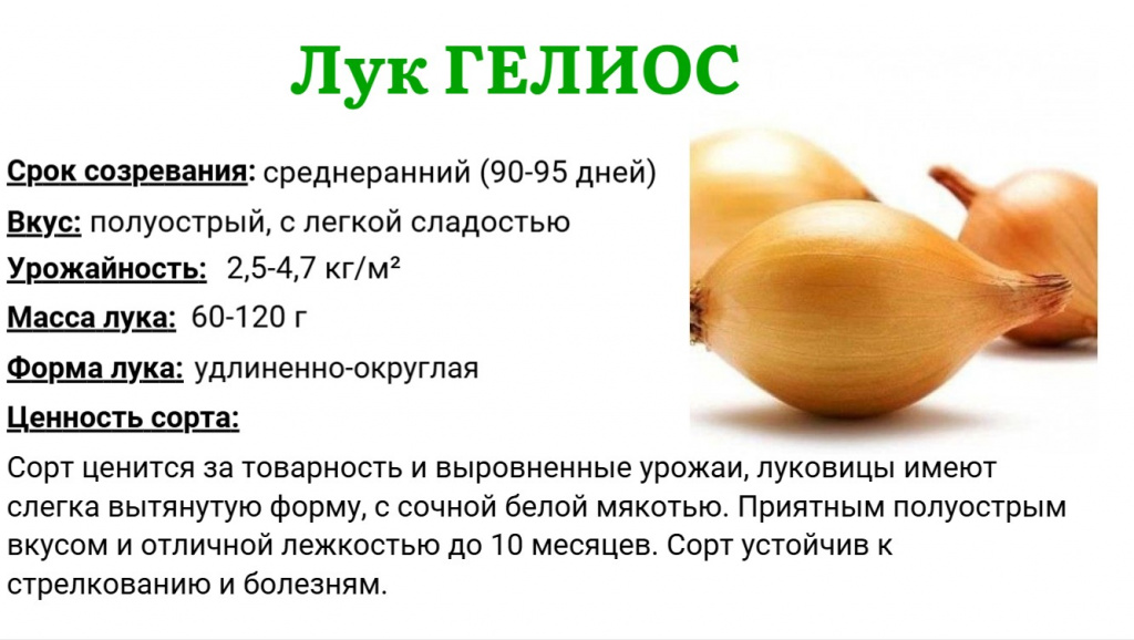 гелиос.jpg гелиос.jpg